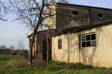 Two bare trees next to an abandoned country house in a field