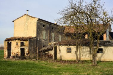 Two bare trees next to an abandoned country house in a field