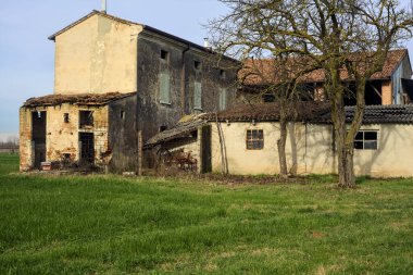 Two bare trees next to an abandoned country house in a field