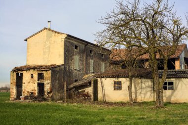 Two bare trees next to an abandoned country house in a field