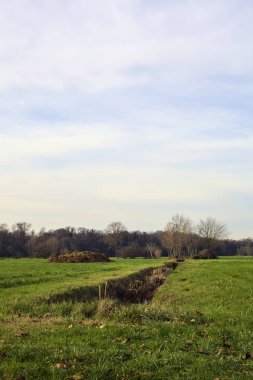 Irrigation channel next to a forest on an overcast day in the italian countryside