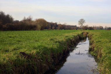 Irrigation channel next to a forest on an overcast day in the italian countryside
