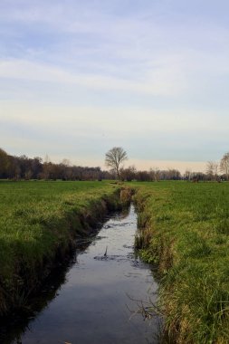 Irrigation channel next to a forest on an overcast day in the italian countryside