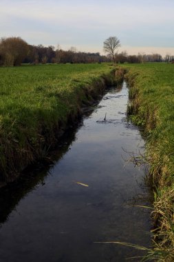 Irrigation channel next to a forest on an overcast day in the italian countryside