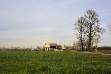 Abandoned country house by the edge of a paved trail in the italian countryside