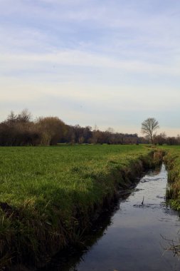 Irrigation channel next to a forest on an overcast day in the italian countryside