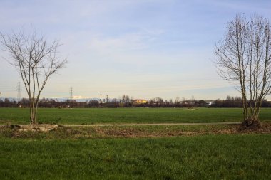 Paved trail bordered by bare trees and an irrigation channel in the italian countryside