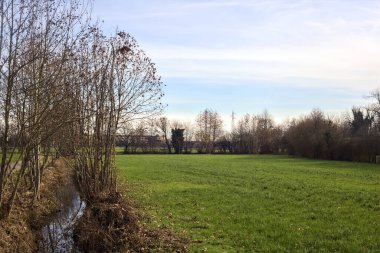 Paved trail bordered by bare trees and an irrigation channel in the italian countryside