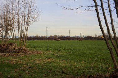 Electricity pylons and over head cables in the middle of a field framed by bare trees in the italian countryside