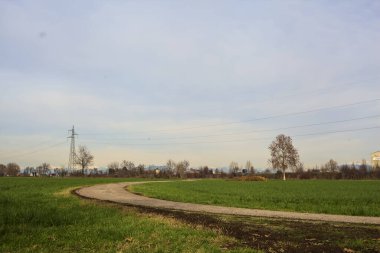 Paved trail between cultivated fields on a sunny day in the italian countryside