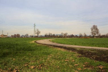 Paved trail between cultivated fields on a sunny day in the italian countryside