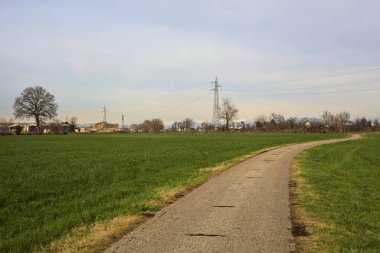 Paved trail between cultivated fields on a sunny day in the italian countryside