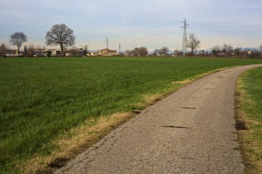 Paved trail between cultivated fields on a sunny day in the italian countryside