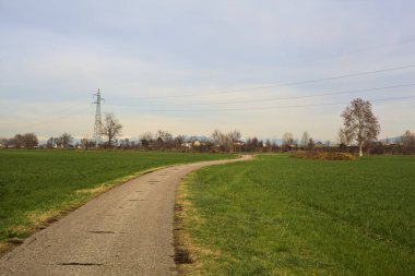 Paved trail between cultivated fields on a sunny day in the italian countryside
