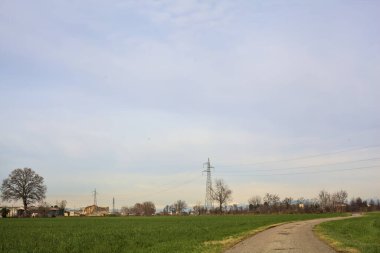 Paved trail between cultivated fields on a sunny day in the italian countryside