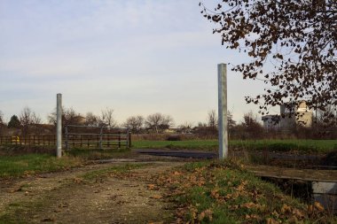 Crossing between a dirt path and a paved one marked by two poles and a tree in the italian countryside