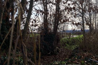 Paved trail bordered by a railing and a stream of water between fields and bare trees in the italian countryside