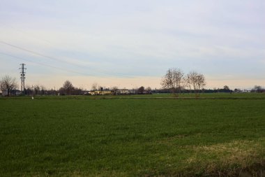Country road between fields with bare trees and electricity pylons with over head cables on a cloudy day