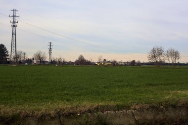 Country road between fields with bare trees and electricity pylons with over head cables on a cloudy day