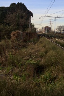 Abandoned building covered by ivy by the edge of a railroad track on a cloudy day in the italian countryside