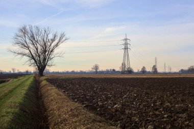 Trail between ploughed fields and dry irrigation channels with a poplar at its edge and pylons in the distance in the italian countryside