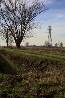 Trail between ploughed fields and dry irrigation channels with a poplar at its edge and pylons in the distance in the italian countryside
