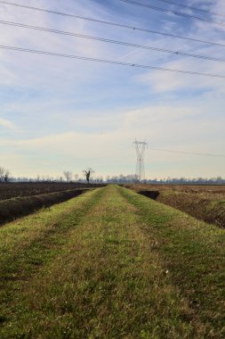 Path between cultivated fields and bordered by streams of water in the italian countryside