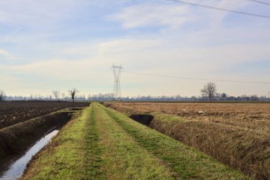 Path between cultivated fields and bordered by streams of water in the italian countryside