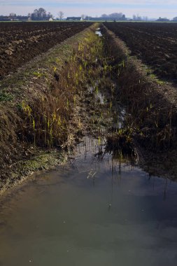 Irrigation channel in a ploughed field in the italian countryside
