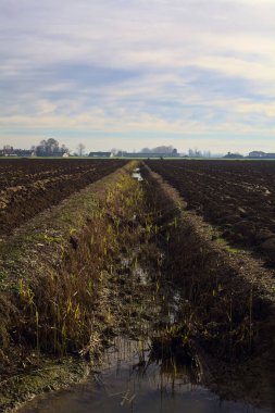 Irrigation channel in a ploughed field in the italian countryside