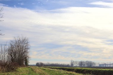 Path between cultivated fields and bordered by streams of water in the italian countryside