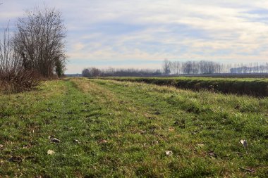 Path between cultivated fields and bordered by streams of water in the italian countryside