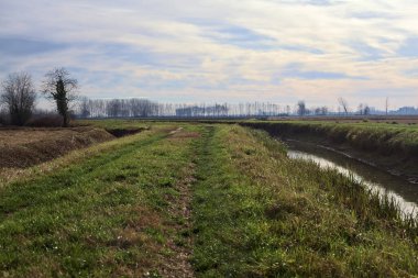 Path between cultivated fields and bordered by streams of water in the italian countryside