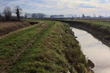 Path between cultivated fields and bordered by streams of water in the italian countryside