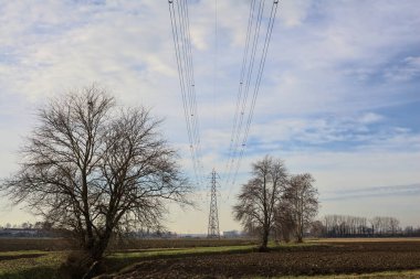 Trails between fields bordered by bare trees seen from over a stream of water in the italian countryside