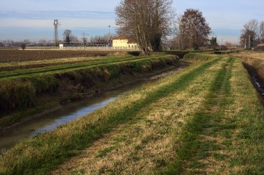 Path between cultivated fields and bordered by streams of water in the italian countryside