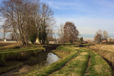 Path between cultivated fields and bordered by streams of water in the italian countryside