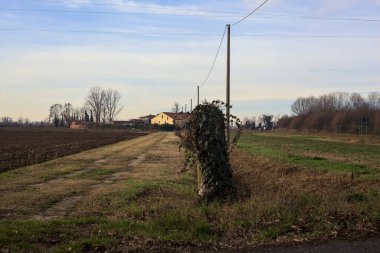 Path next to a ploughed field bordered by wooden poles and a power line on a cloudy day in the italian countryside
