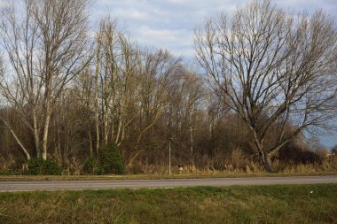 Country road bordered by a stream of water on a cloudy day in the italian countryside