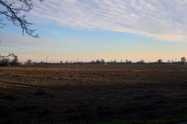 İtalya 'nın kırsalında gün batımında ekilmiş bir tarla çıplak bir ağaç tarafından çerçevelenmiş.