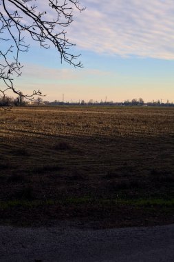 İtalya 'nın kırsalında gün batımında ekilmiş bir tarla çıplak bir ağaç tarafından çerçevelenmiş.