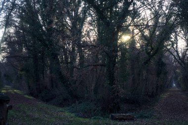 Kışın gün batımında bir parkta iki patika arasında çatal.