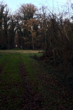 Çimlerin ve yaprakların olduğu patika gün batımında bir parkta açık bir alana çıkar.