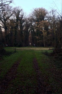 Çimlerin ve yaprakların olduğu patika gün batımında bir parkta açık bir alana çıkar.