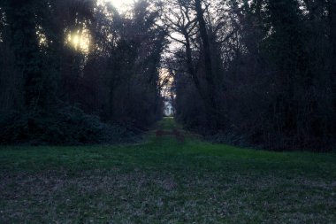 Gün batımında bir parkta açık bir alandan başlayan yol