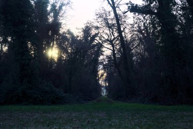 Gün batımında bir parkta açık bir alandan başlayan yol