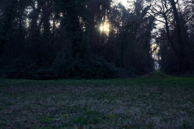 Gün batımında bir parkta açık bir alandan başlayan yol