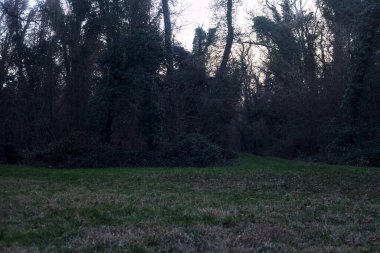 Gün batımında bir parkta açık bir alandan başlayan yol