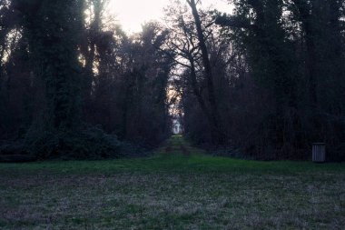 Gün batımında bir parkta açık bir alandan başlayan yol