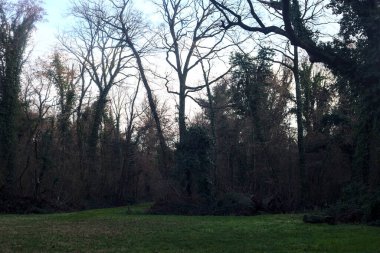 Gün batımında bir parkta açık bir alandan başlayan yol